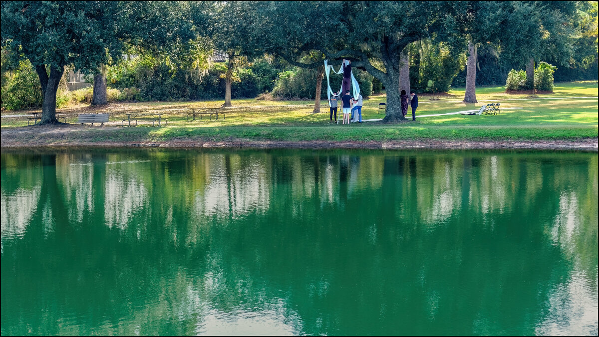 Парк Бэрроуз - **** vedin