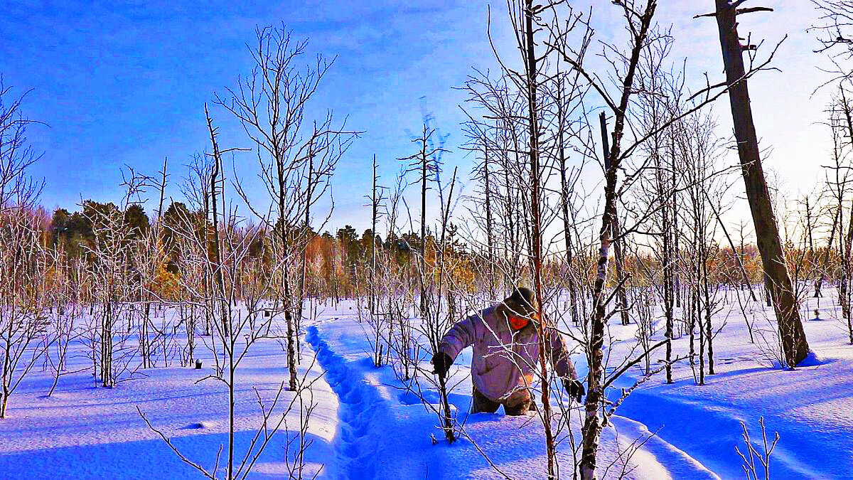 Я в роли...снегомера! - Владимир 