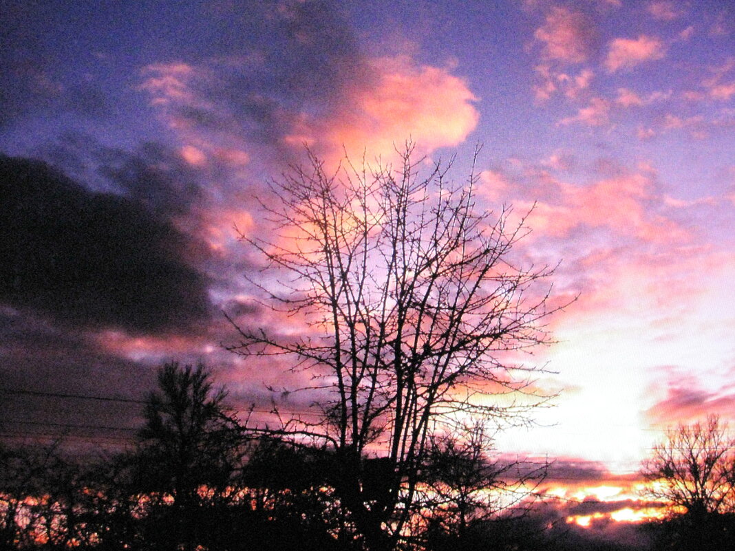 Ноябрьский вечер - Людмила Смородинская Ноябрьский вечер - Людмила Смородинская