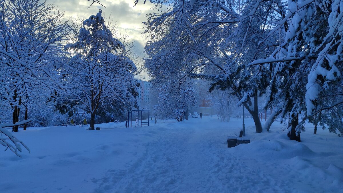 Утро в зимнем парке - Татьяна Лютаева Утро в зимнем парке - Татьяна Лютаева