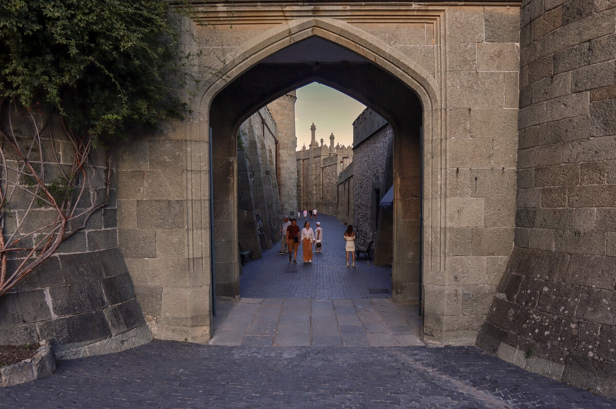 Воронцовский дворец - skijumper Иванов