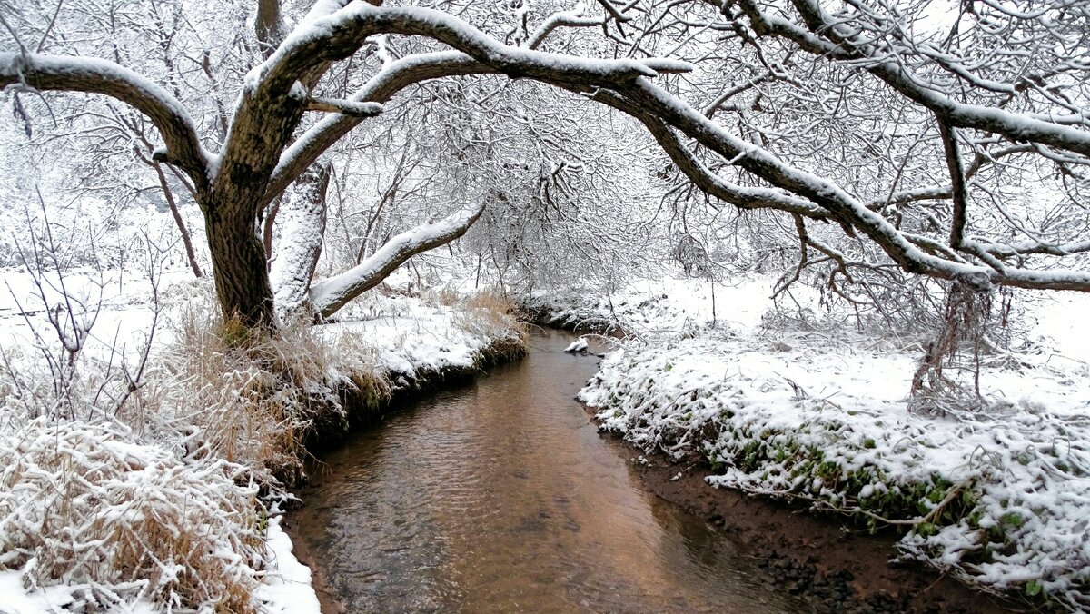 Природа в конце осени, - Милешкин Владимир Алексеевич 