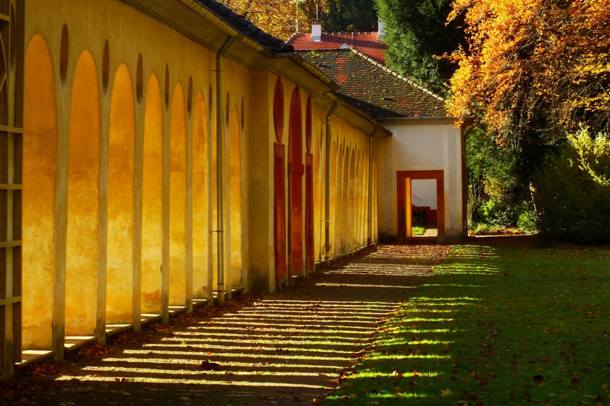 Утро ноября - Юрий. Шмаков