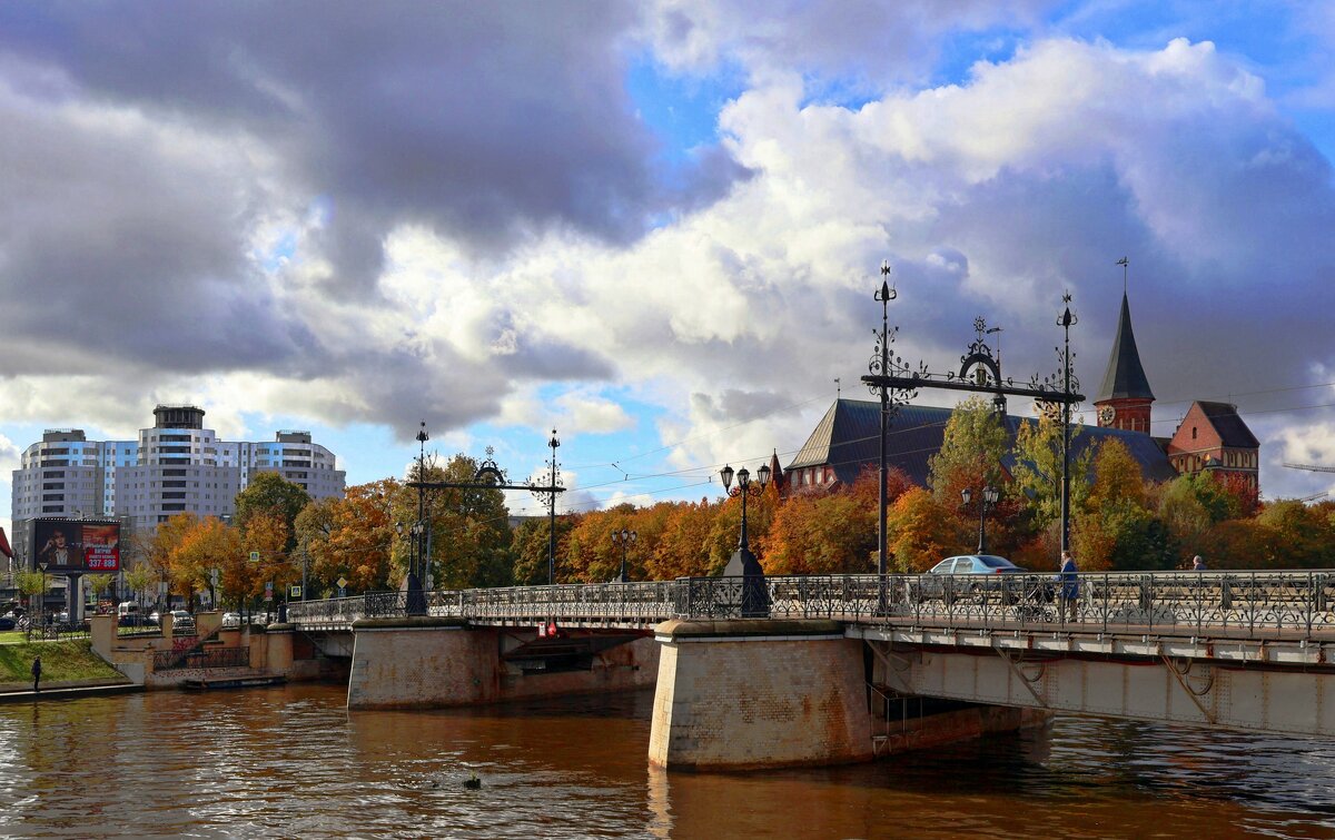 Дровяной мост - Сергей Карачин