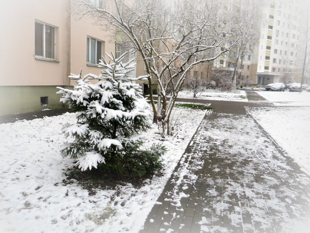 Первый снег - Ирина Олехнович Первый снег - Ирина Олехнович