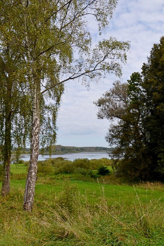 МИХАЙЛОВСКОЕ. - Виктор Осипчук