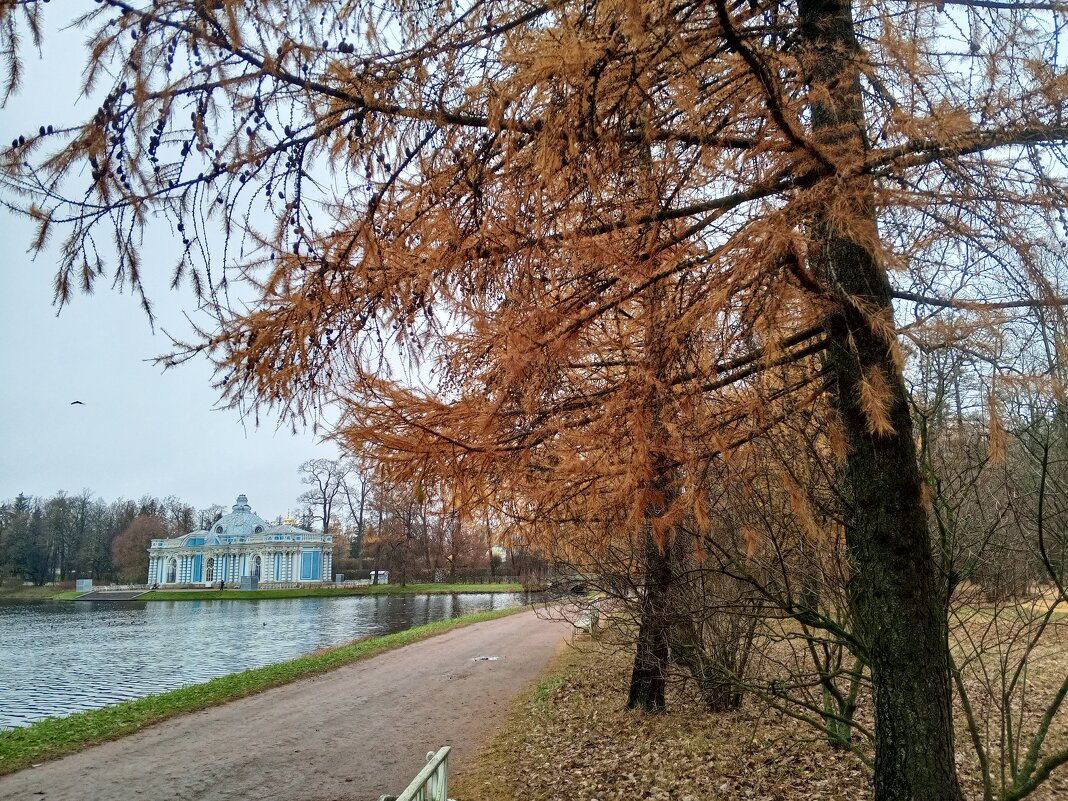 Осень - Сапсан Осень - Сапсан