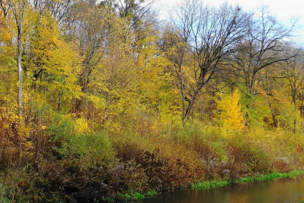 Ноябрь - Рита Симонова