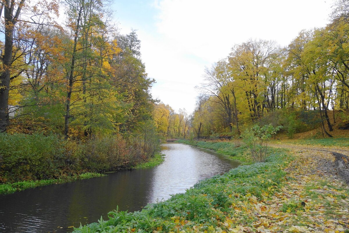 Ноябрь - Рита Симонова