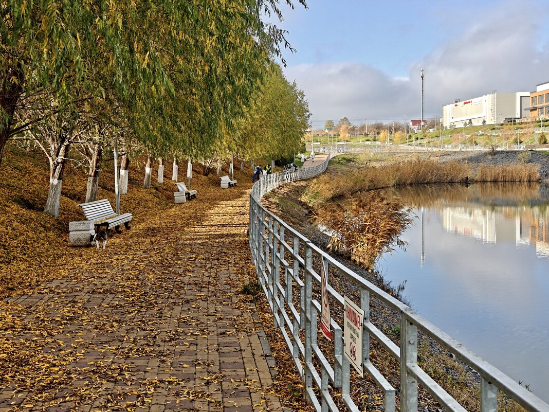 Ростовские зарисовки - Александр Гапоненко