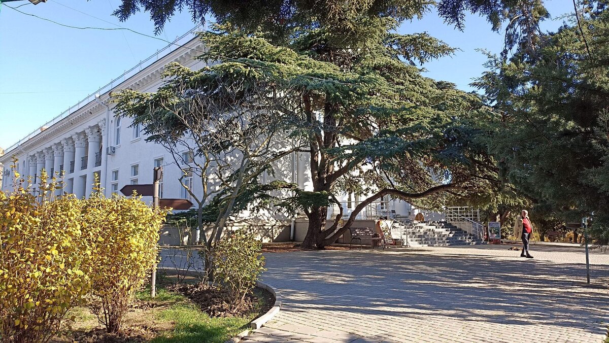 Дерево там... такое!) - Татьяна Тюменка