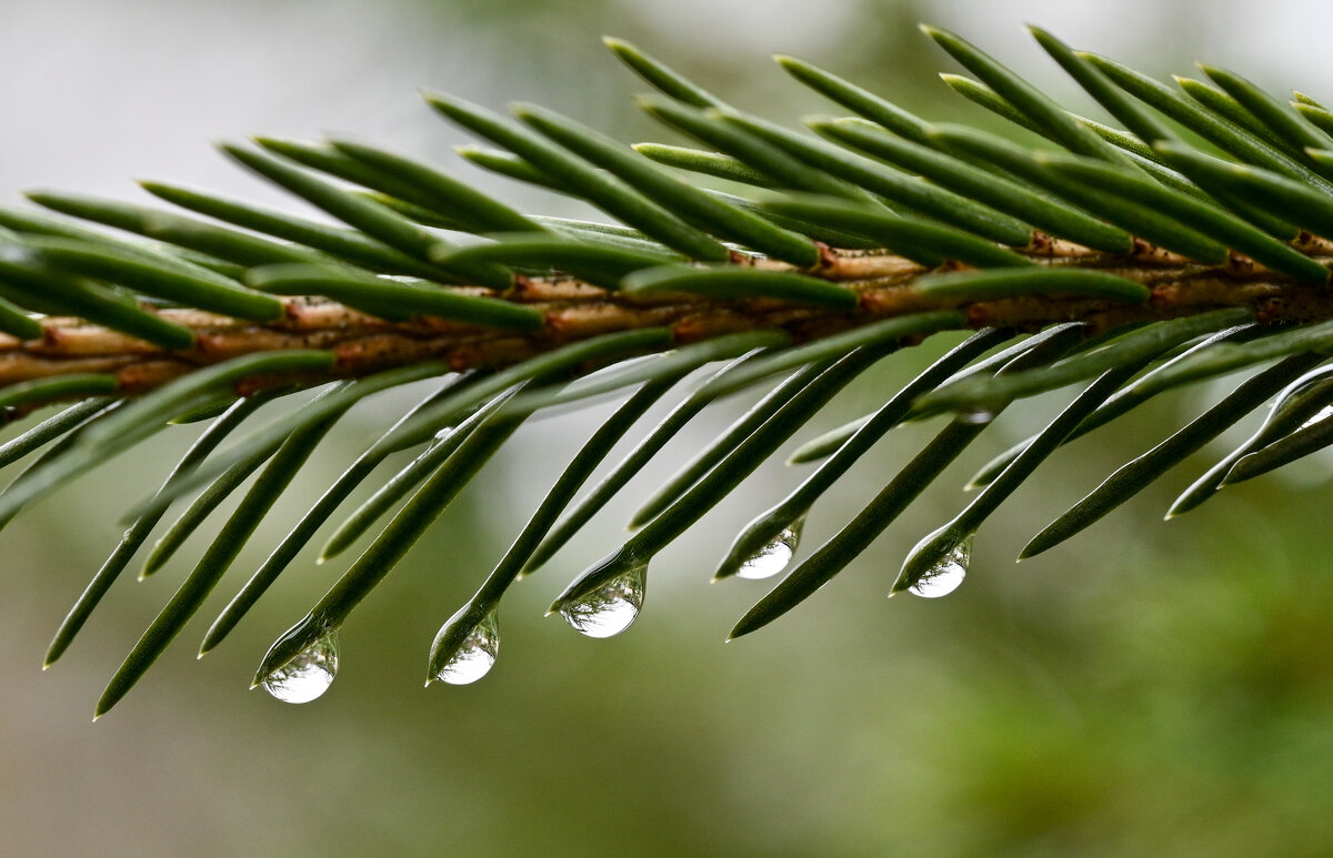 Отражения - Вадим 