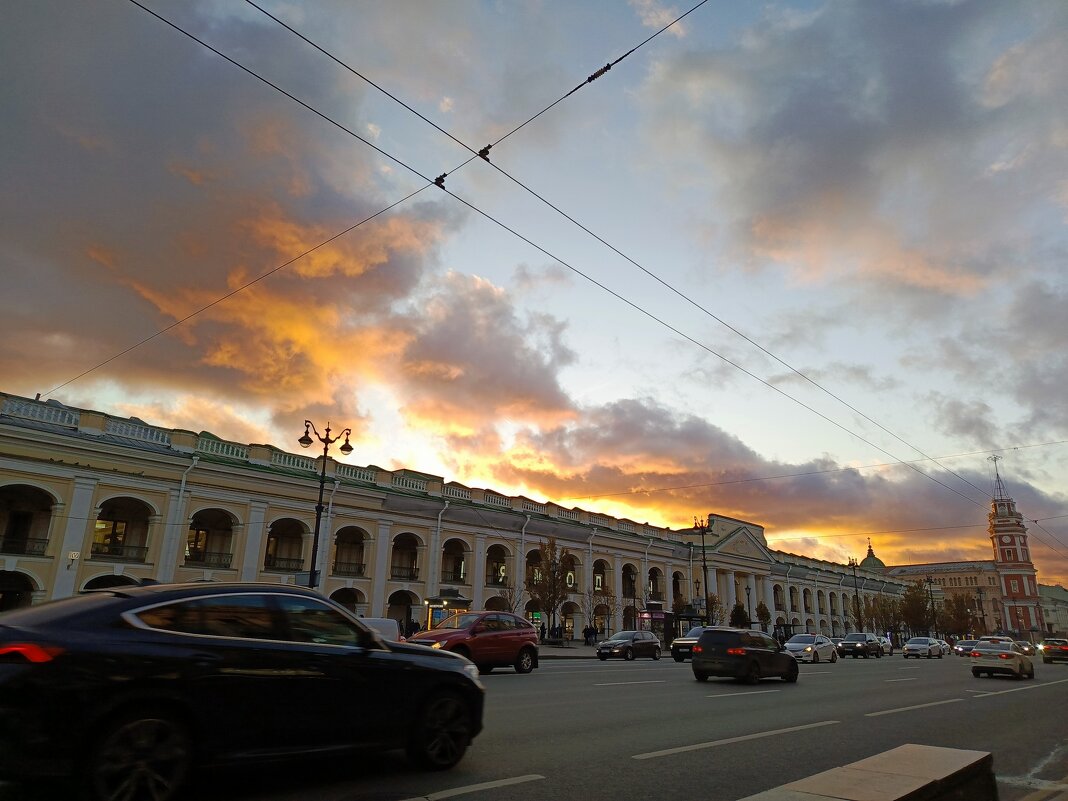Петербург - Татьяна Пальчикова