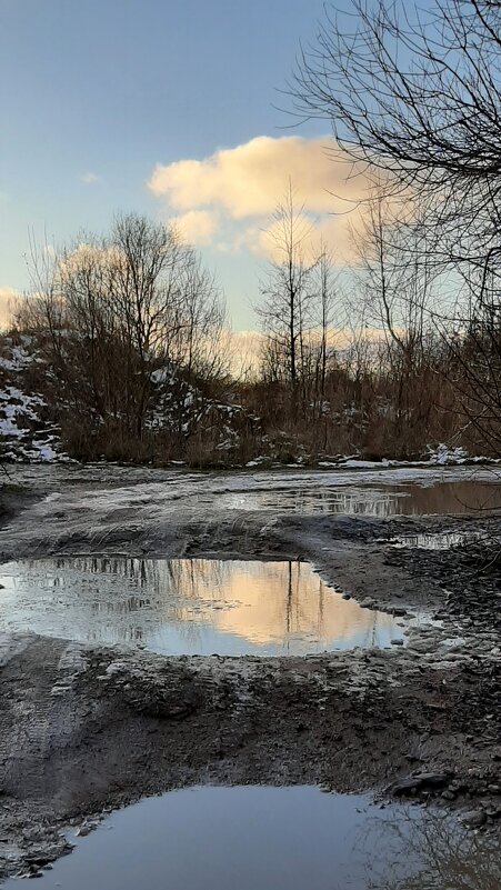 Эх, дороги... - Наталья Герасимова