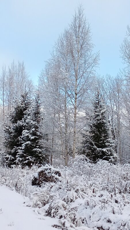 Снежный день - Ольга Попова (popova/j2011)