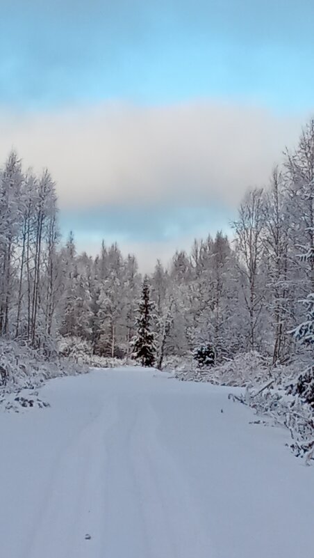 Снежный день - Ольга Попова (popova/j2011)