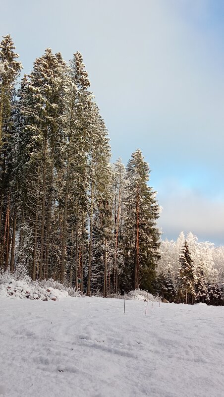 Снежный день - Ольга Попова (popova/j2011) Снежный день - Ольга Попова (popova/j2011)