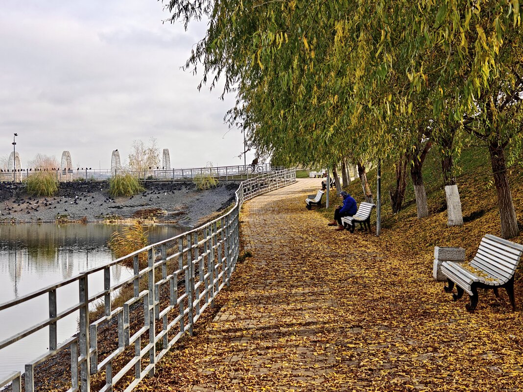 Ростовские зарисовки - Александр Гапоненко