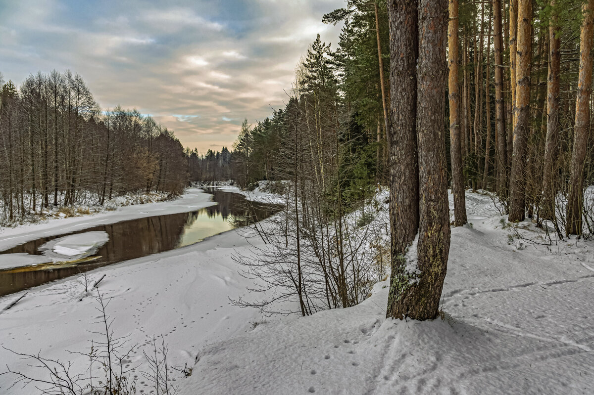 Зима . - Александр Иванович Шитов