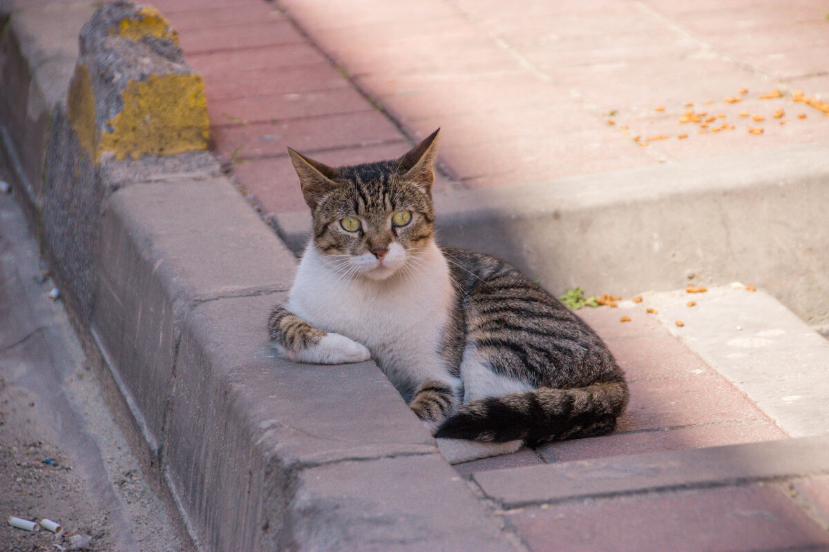 Философ - Максим Философ - Максим