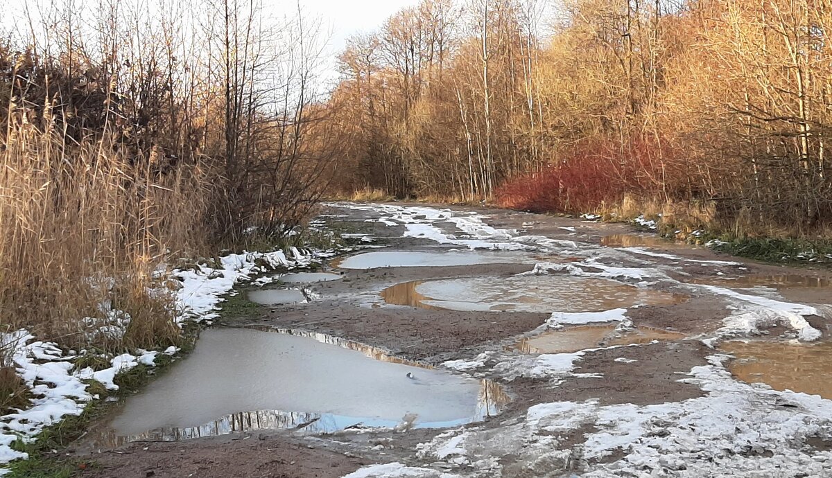 Эх, дороги - Наталья Герасимова