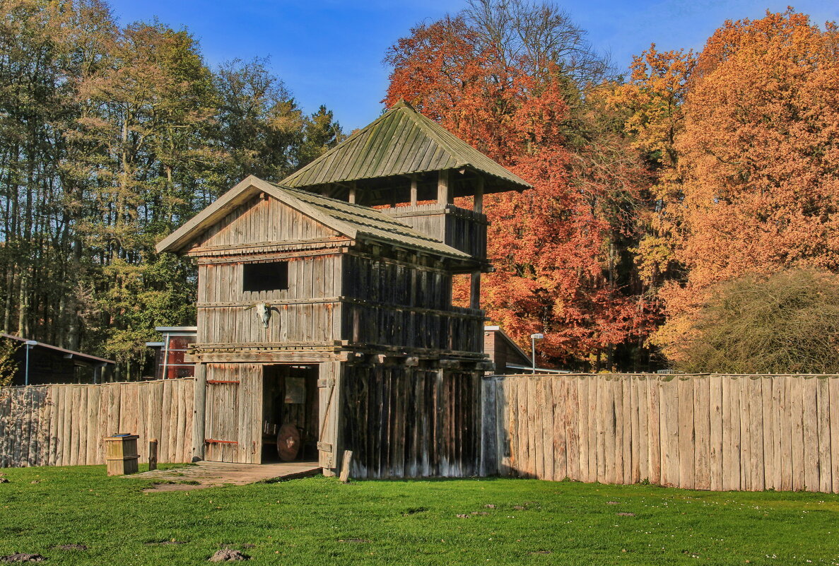 Радоним - Андрей K.