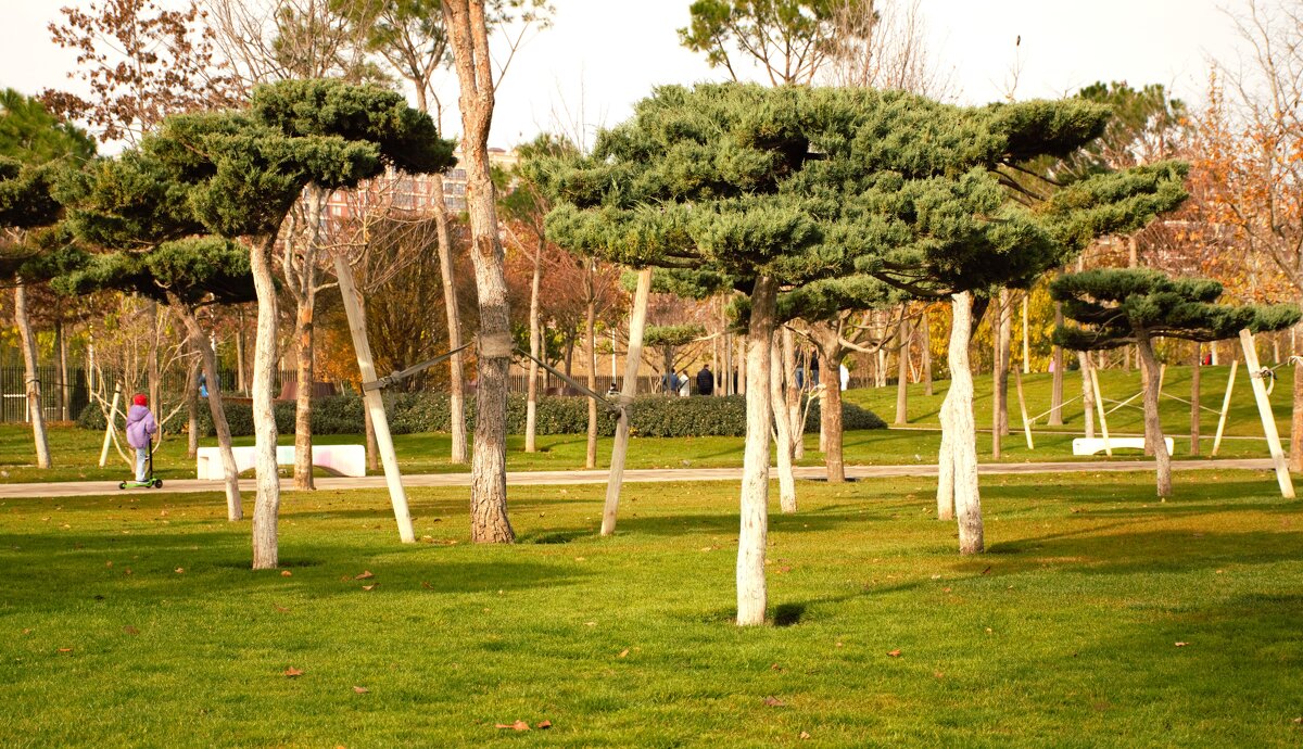 Чудны твои творения! - Юрий Полторыхин.