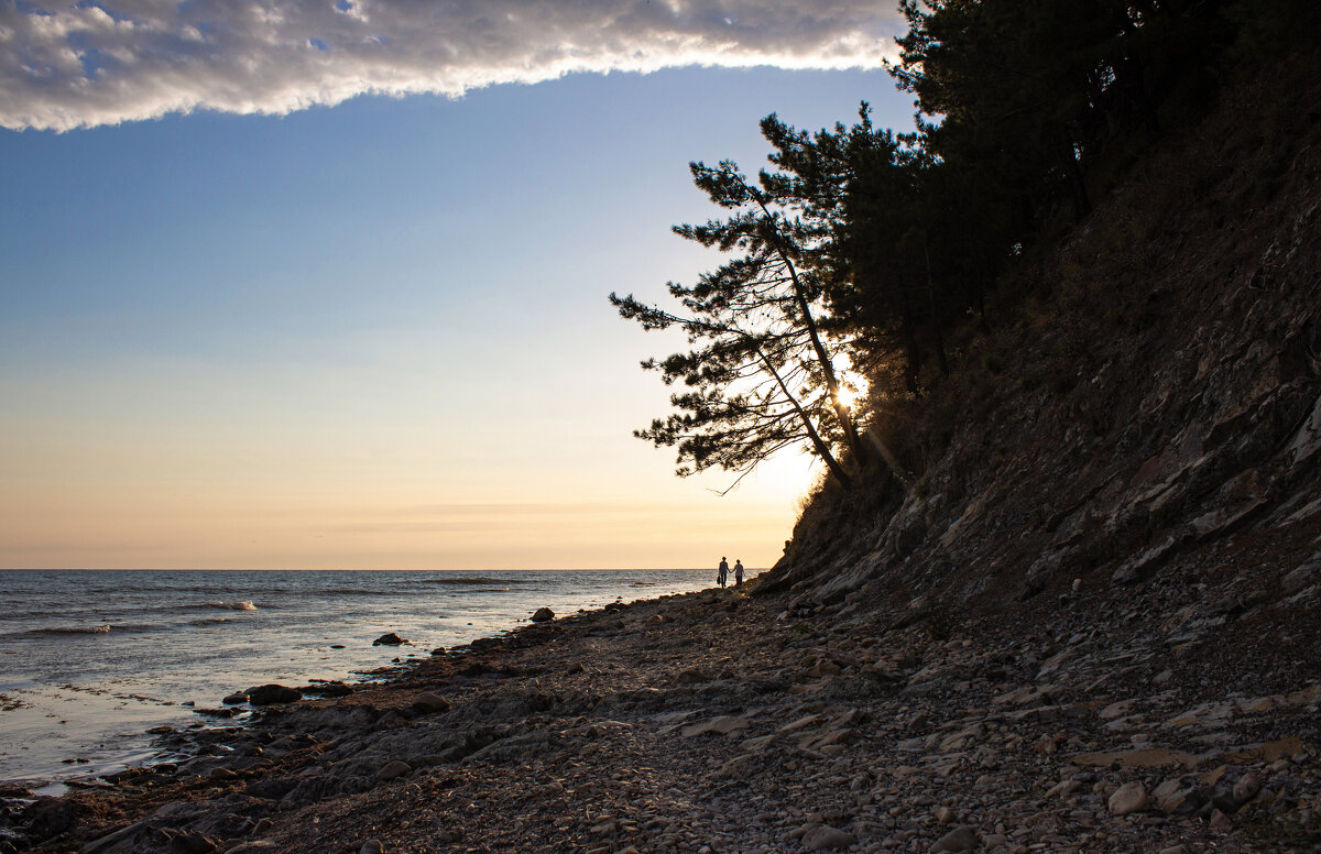 Вечер. - Александр 