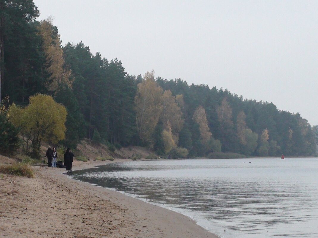 Берег - fogmeadowww m