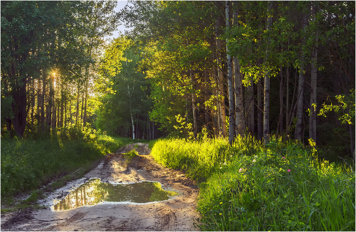 Летний этюд - Валентин Котляров