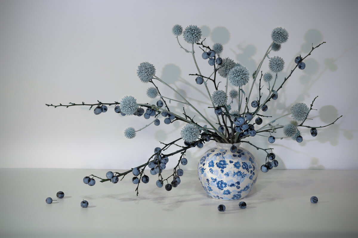 Натюрморт с тёрном и мордовником - Olenka 