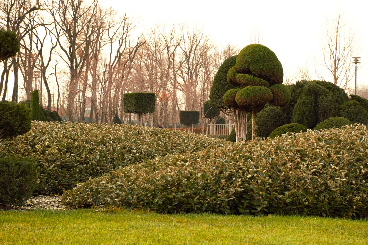 Однажды в парке. - Юрий Полторыхин. Однажды в парке. - Юрий Полторыхин.