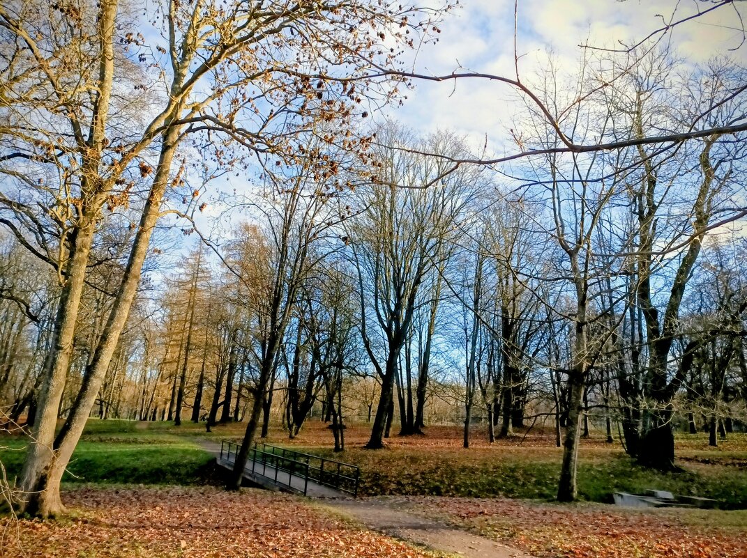 Прогулка по парку Кадриорг - Veera V Прогулка по парку Кадриорг - Veera V