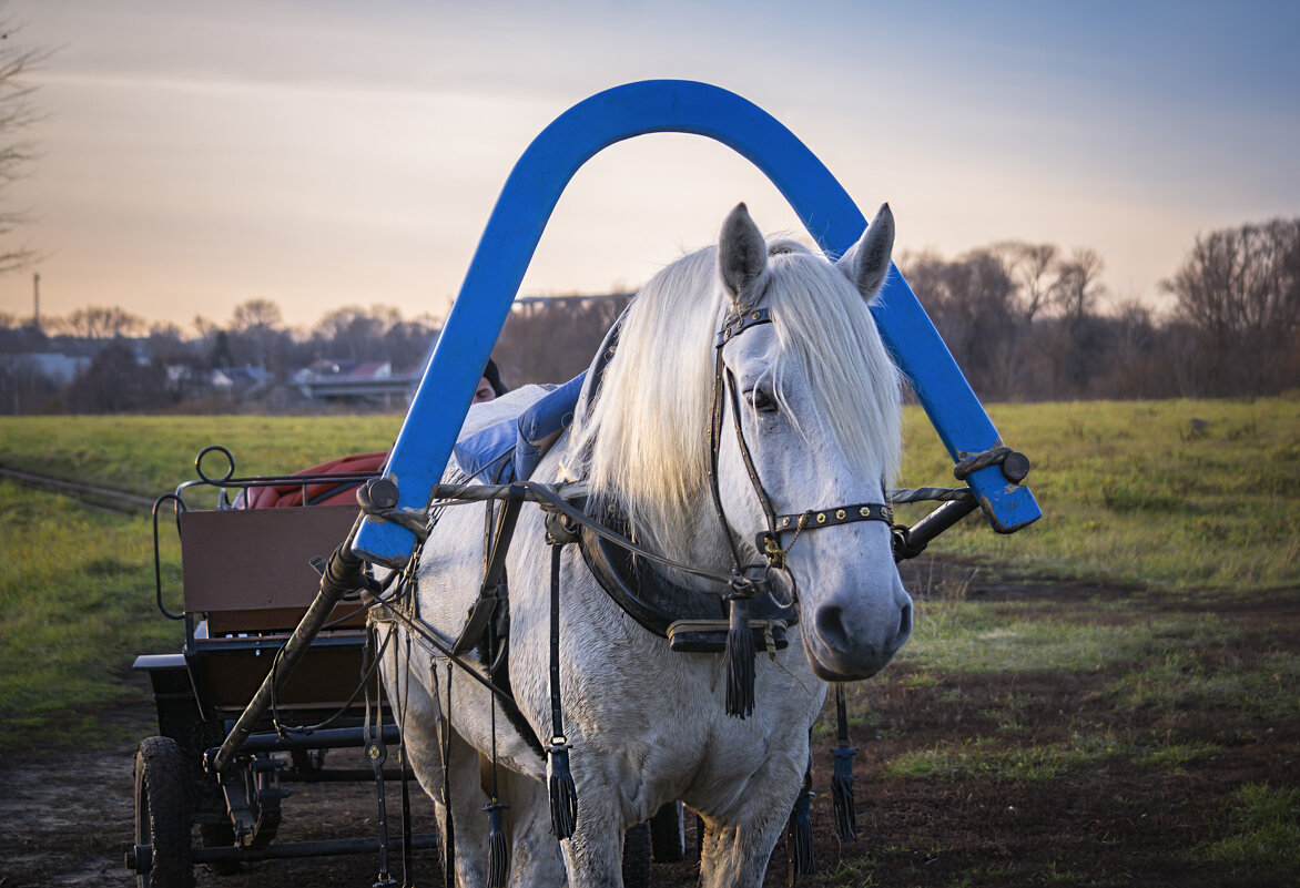 Познакомились и подружились - Сергей Цветков
