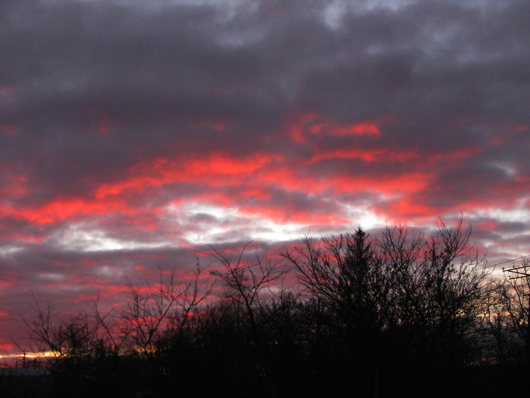 Утро ноября - Людмила Смородинская