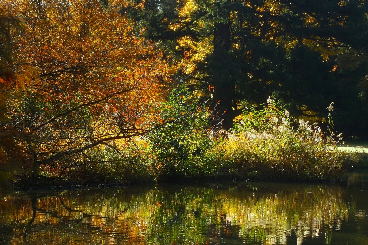 Утро на озере - Юрий. Шмаков