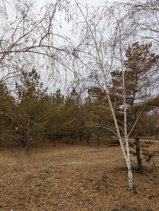 Ноябрь - Андрей Хлопонин Ноябрь - Андрей Хлопонин