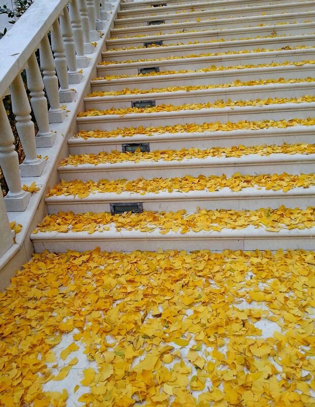 Ноябрь - Tata Wolf