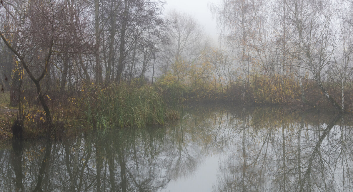 *** - Владимир Безбородов *** - Владимир Безбородов