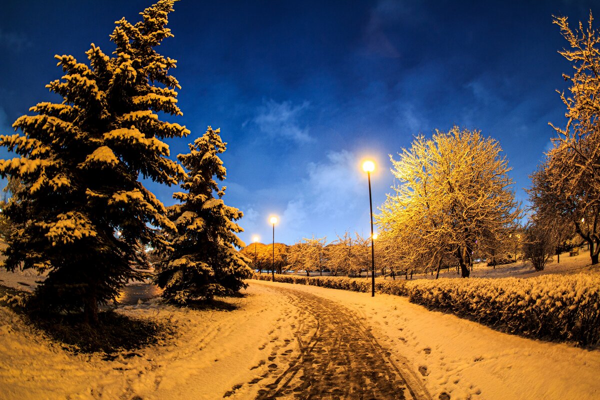 Вечерний променад с фотоаппаратом_2 - Евгений Ермаков Вечерний променад с фотоаппаратом_2 - Евгений Ермаков