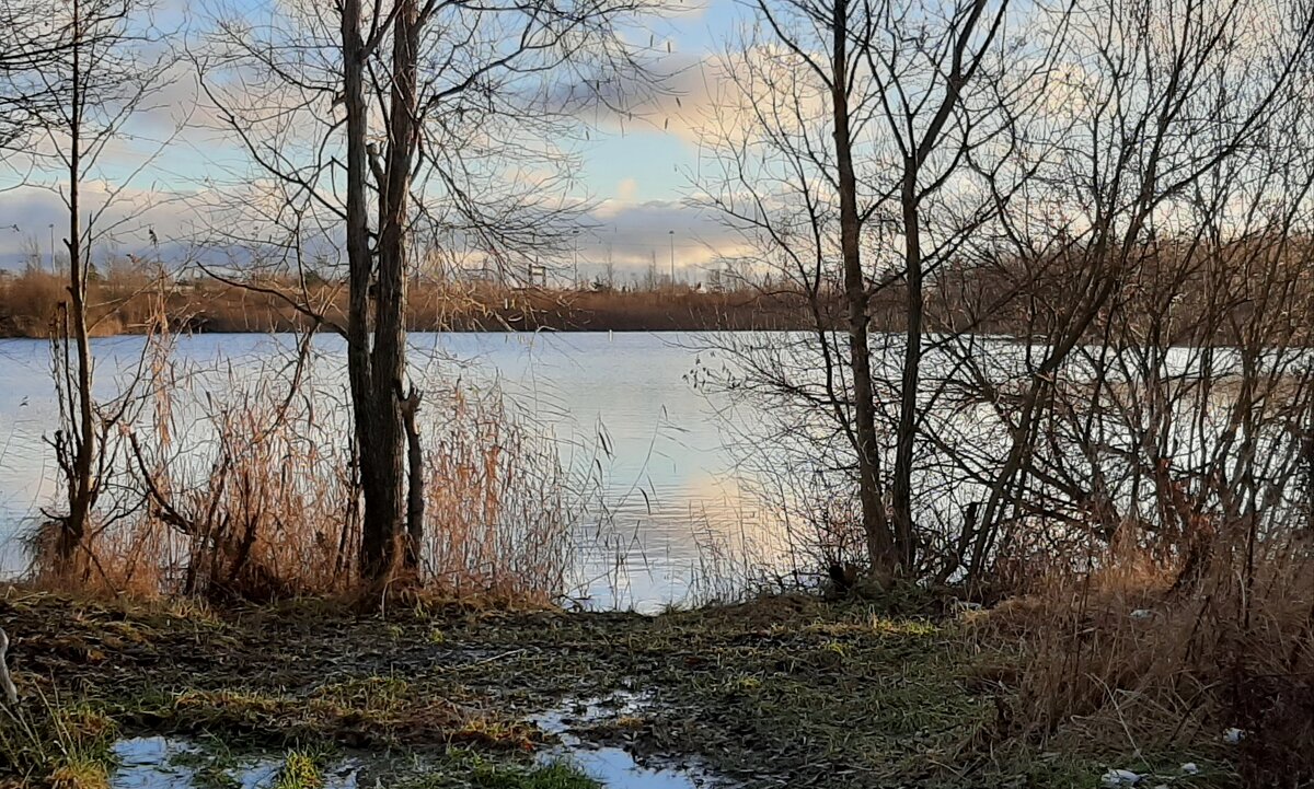 Ноябрь - Наталья Герасимова