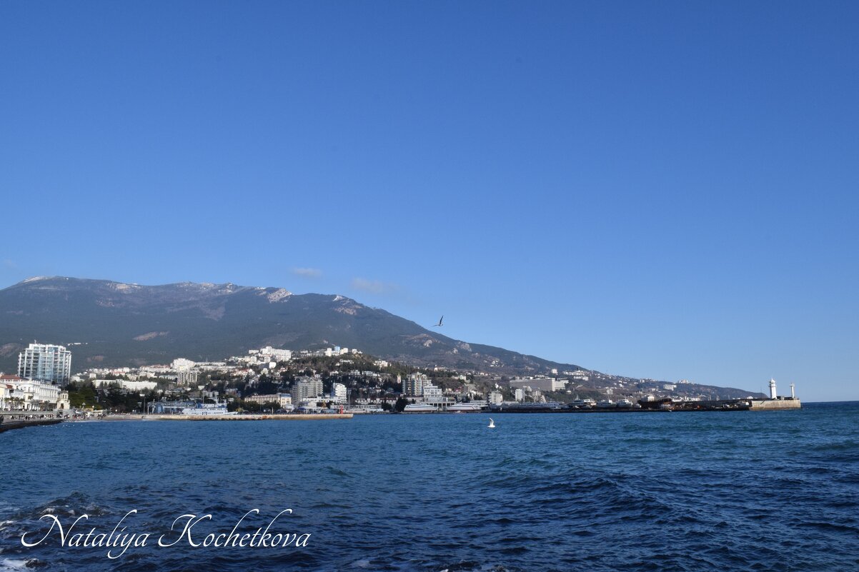 Природа Крыма - Amazing Cosmea