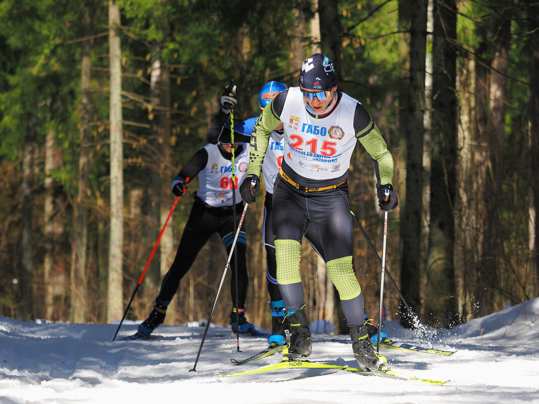 Динамика лыжных гонок. - Евгений Седов