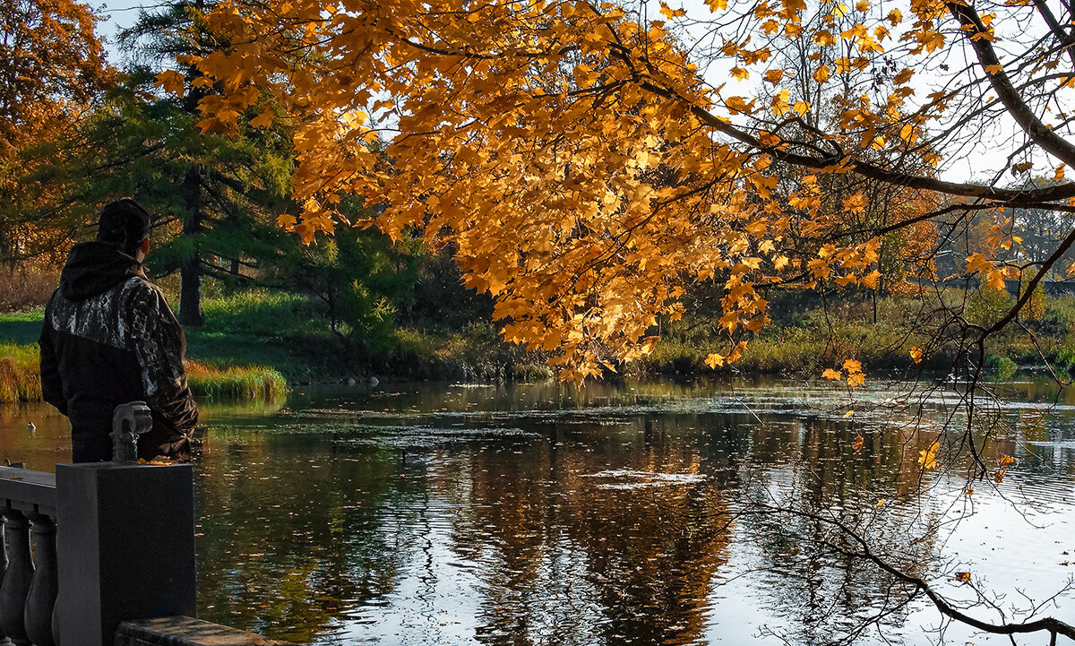 осеннее настроение.... - Владимир Матва