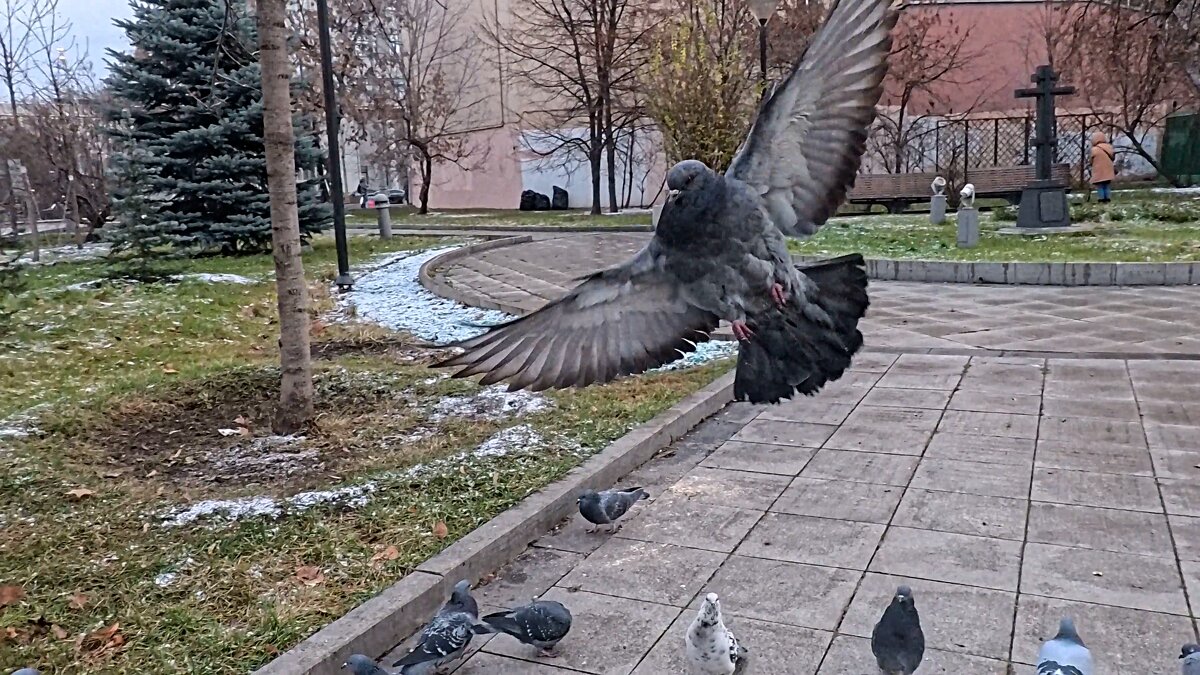 Площадь Красные ворота. - Лютый Дровосек