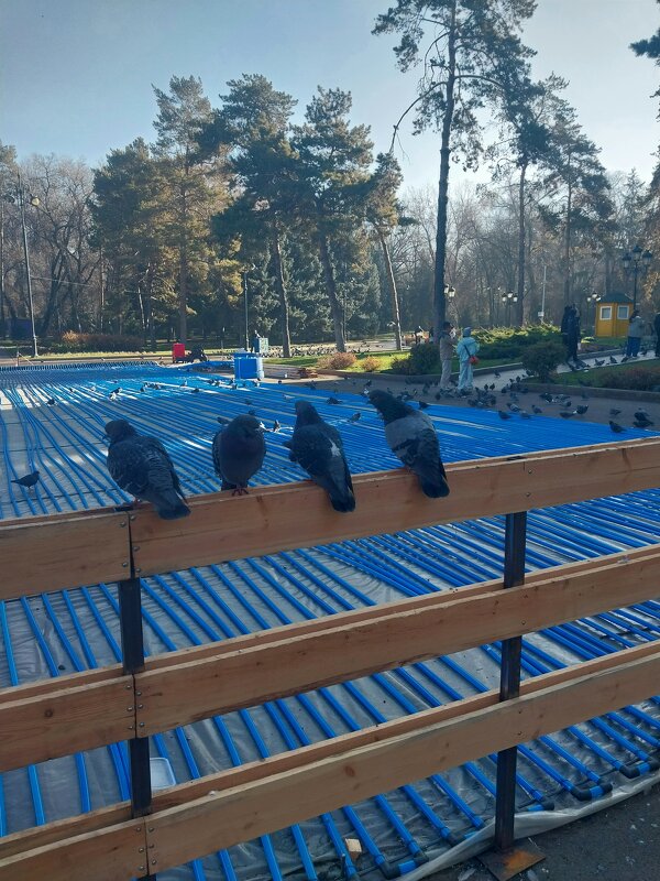 Almaty. - Murat Bukaev 