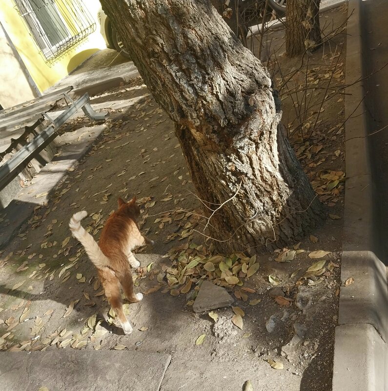 Almaty. - Murat Bukaev 