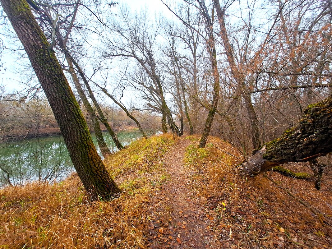 Ноябрьский пейзаж - Наталья 