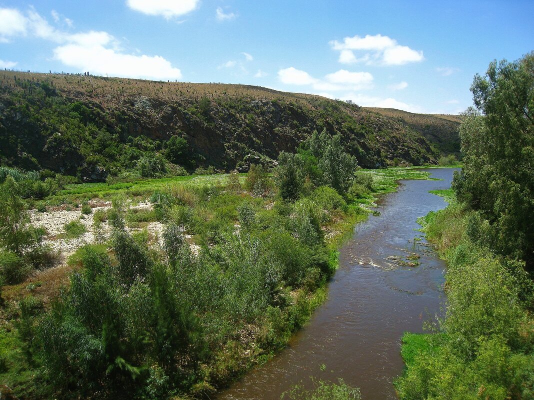 Река Брид в Национальном парке Бонтебок, Южная Африка. - unix (Илья Утропов)