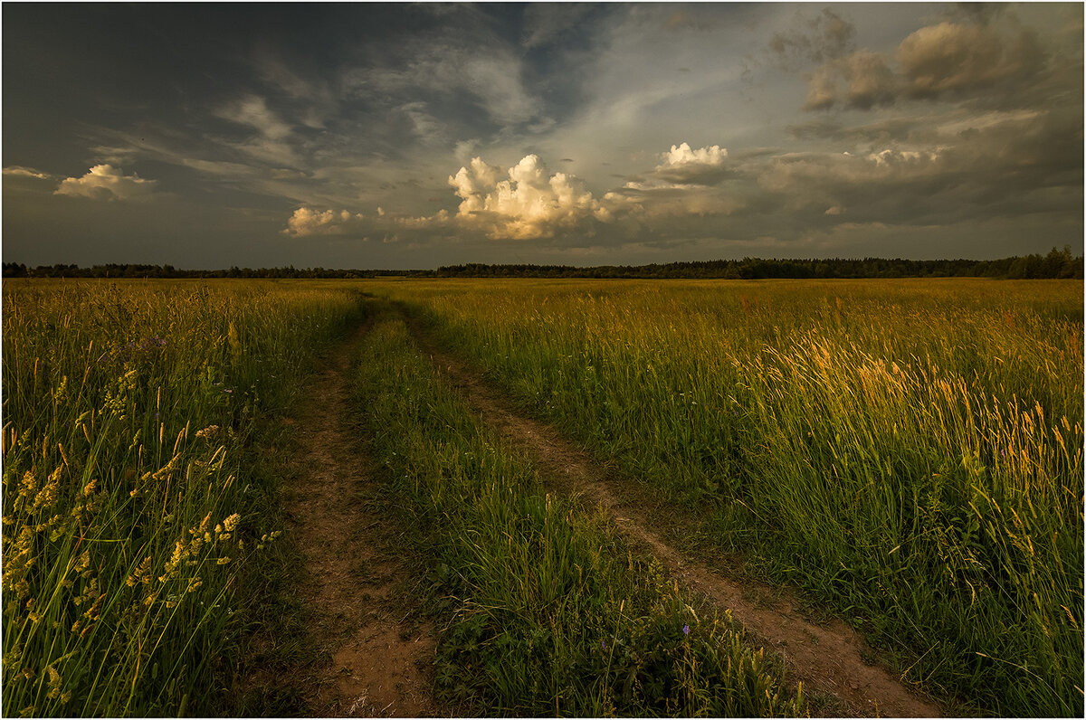 Июньский вечер - Валентин Котляров
